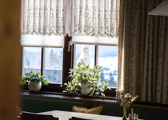 Stoffenbauer Affittacamere Ramsau am Dachstein