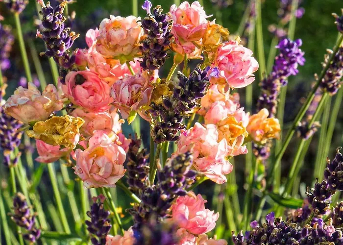 Stoffenbauer 3* 拉姆绍达赫斯坦