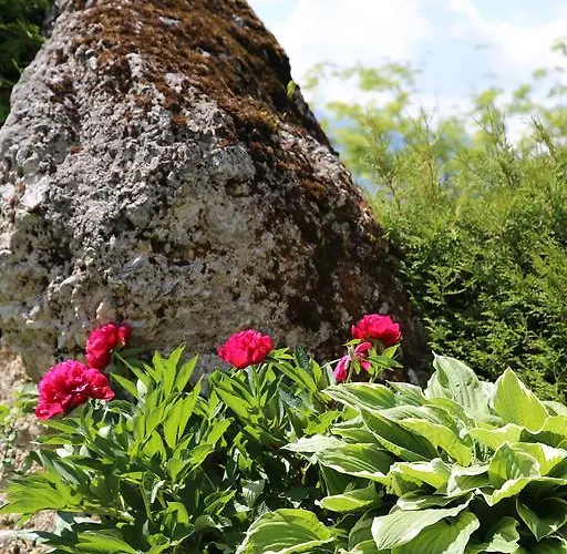 Stoffenbauer 招待所 3*