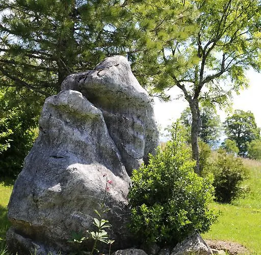 Stoffenbauer 招待所 3*