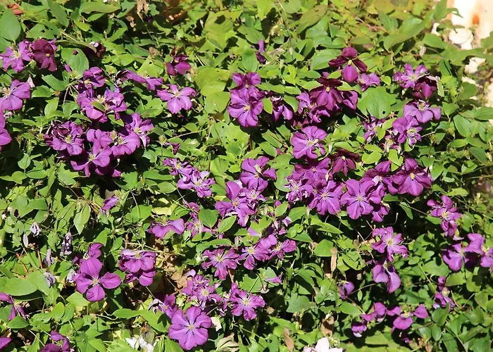 Affittacamere Stoffenbauer