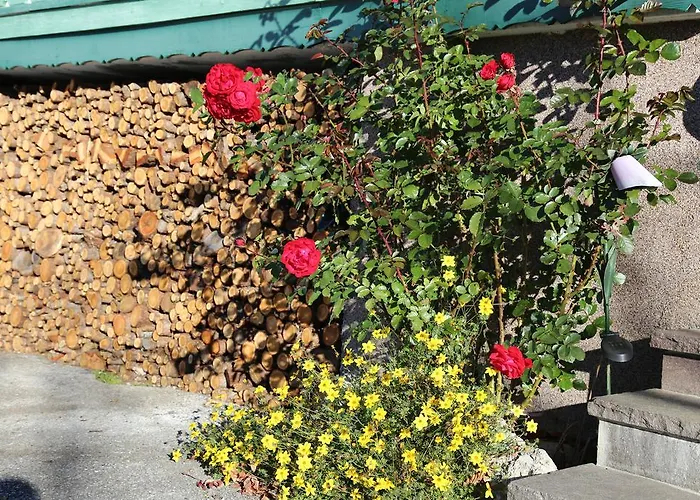 Stoffenbauer 招待所 3*